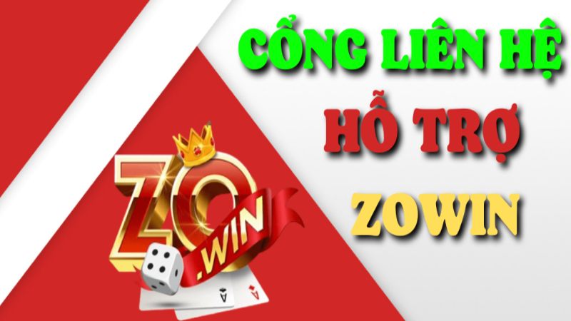 Quy trình liên hệ với Zowin được trình bày chi tiết