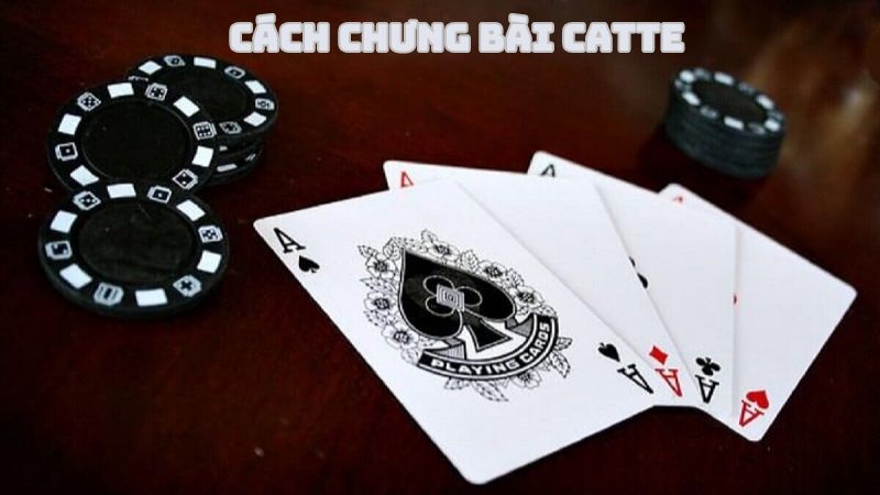 Bàn chơi Catte thường có 2-6 người cùng tham gia